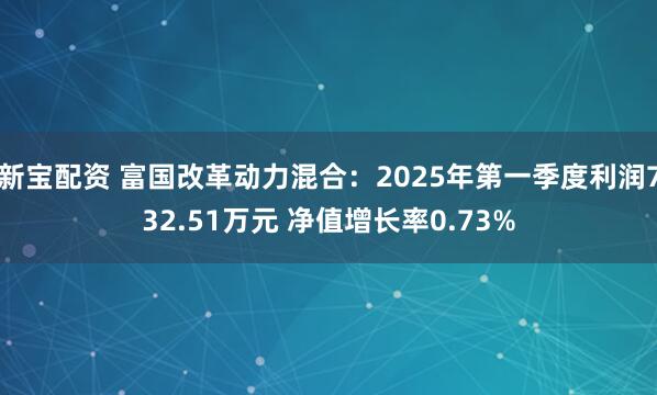 新宝配资 富国改革动力混合：2025年第一季度利润732.51万元 净值增长率0.73%