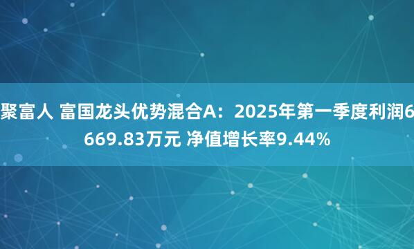聚富人 富国龙头优势混合A：2025年第一季度利润6669.83万元 净值增长率9.44%