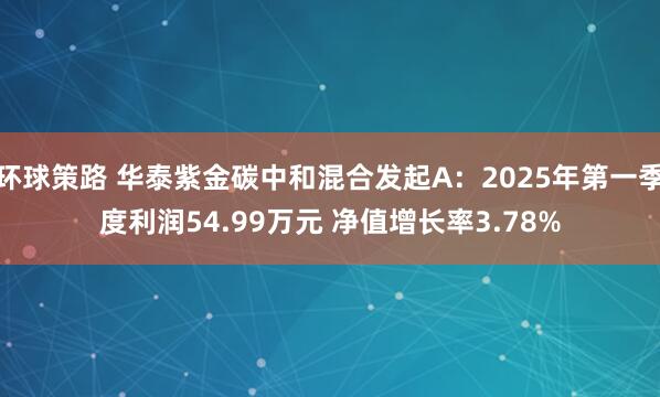 环球策路 华泰紫金碳中和混合发起A：2025年第一季度利润54.99万元 净值增长率3.78%