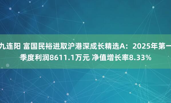 九连阳 富国民裕进取沪港深成长精选A：2025年第一季度利润8611.1万元 净值增长率8.33%