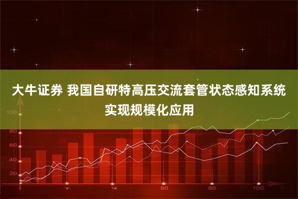大牛证券 我国自研特高压交流套管状态感知系统实现规模化应用
