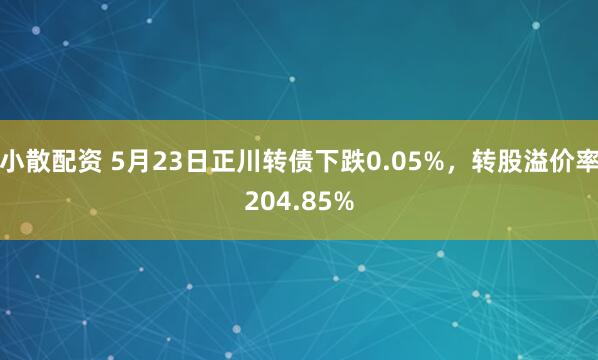 小散配资 5月23日正川转债下跌0.05%，转股溢价率204.85%