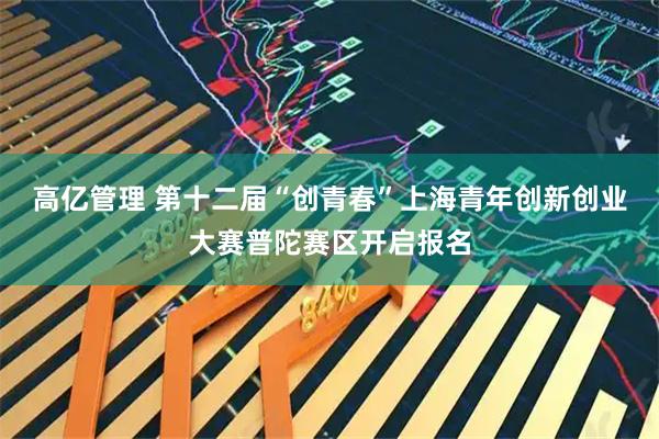 高亿管理 第十二届“创青春”上海青年创新创业大赛普陀赛区开启报名
