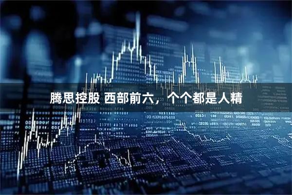 腾思控股 西部前六，个个都是人精